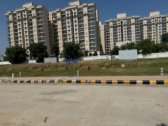 Plot For Resale in JMS Mega City Sohna Sector 5 Gurgaon  7869042