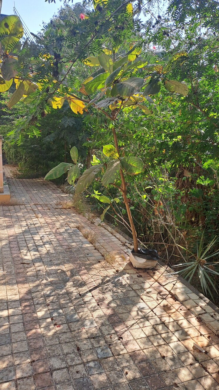 Garden, cosmos-hawaiian-village 4 Bedroom 10000 Sq.Ft. Villa In Ghodbunder Road Thane 7869615