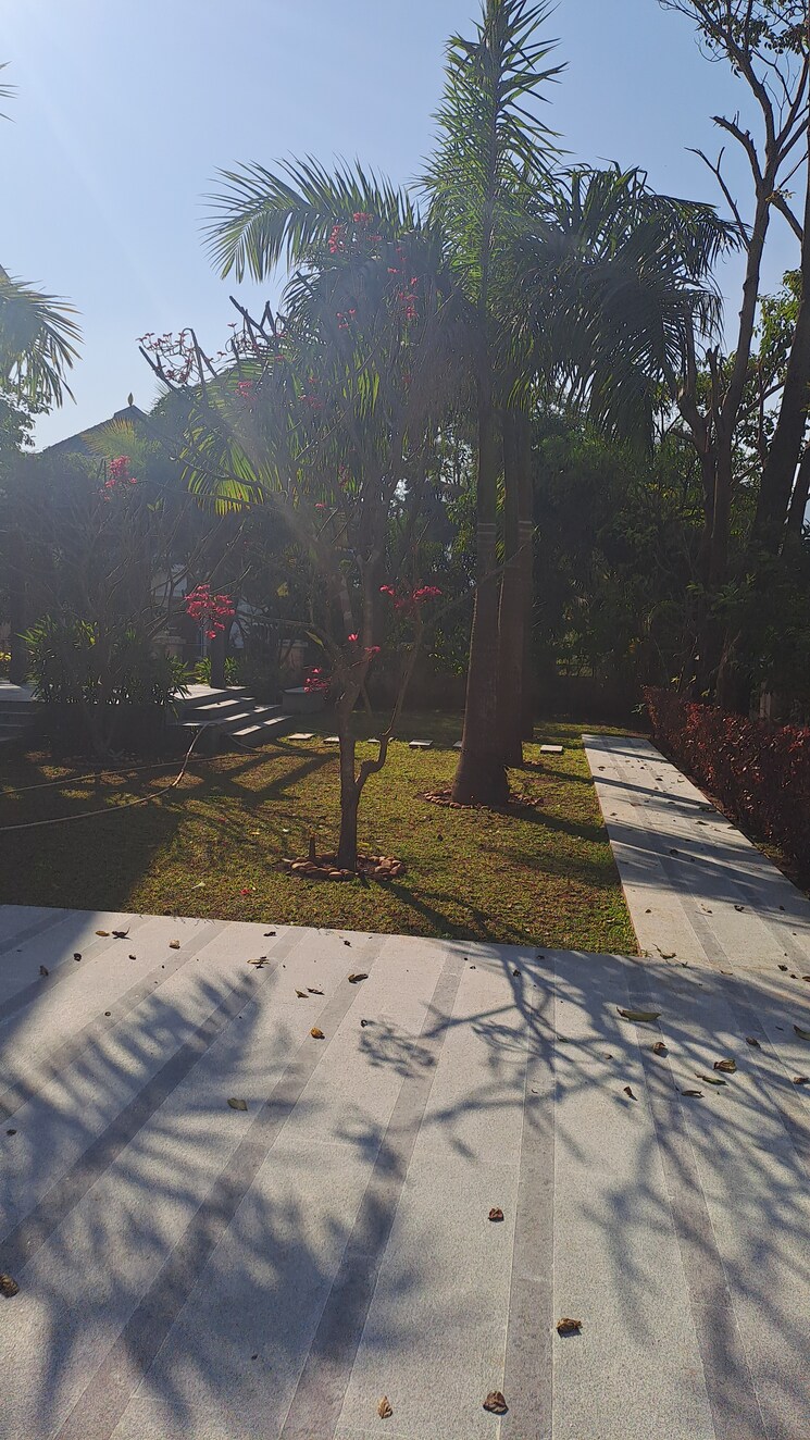 Garden, cosmos-hawaiian-village 4 Bedroom 10000 Sq.Ft. Villa In Ghodbunder Road Thane 7869615