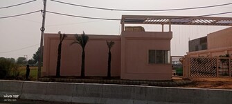 Plot For Resale in Dameera City Plots Sector 121 Faridabad  7869688