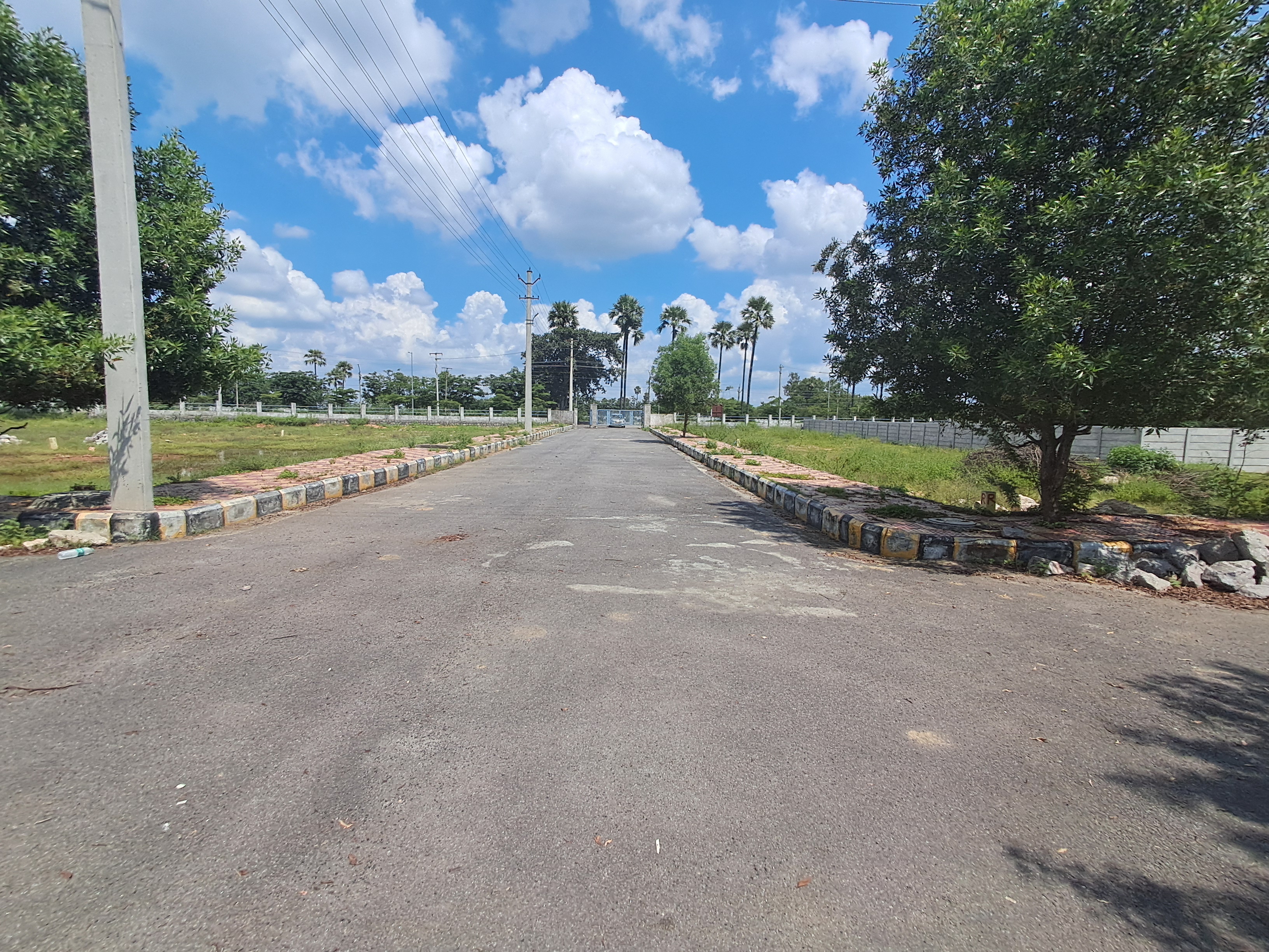 Plot For Sale in Best Reality