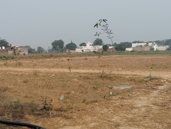 Plot For Resale in Farukh Nagar Gurgaon  7869951