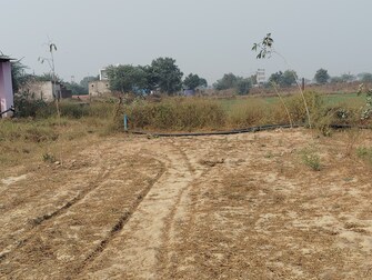 Plot For Resale in Farukh Nagar Gurgaon  7869951