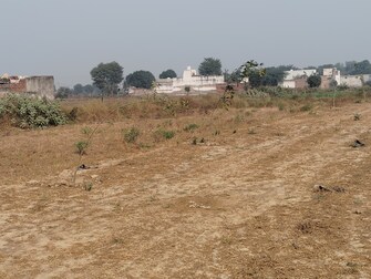 Plot For Resale in Farukh Nagar Gurgaon  7869951