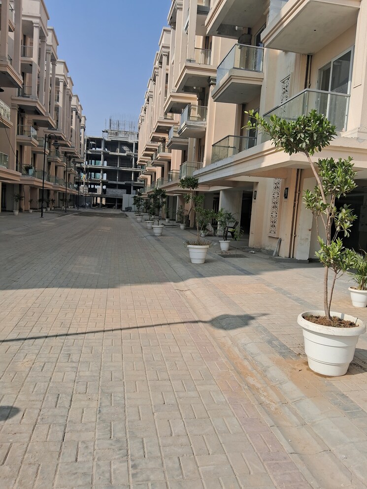 Exterior View, signature-global-city 3 Bedroom 1250 Sq.Ft. Apartment In Sector 37d Gurgaon 7869987