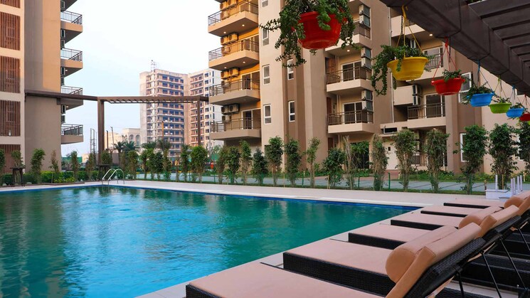 Swimming Pool, adani-oyster-greens 3 Bedroom 1898 Sq.Ft. Apartment In Sector 102 Gurgaon 7870042