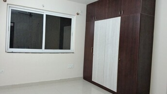 3 BHK Apartment For Rent in Pashmina Waterfront Old Madras Road Bangalore  7870534