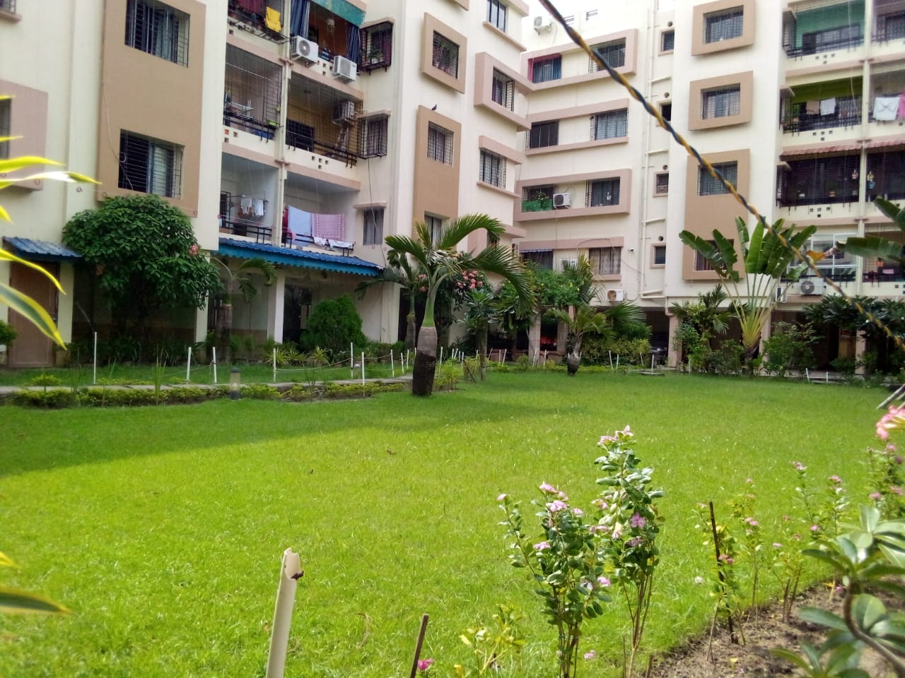 2 BHK Apartment For Sale in Eden Tolly Signature Phase II