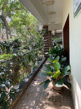 4 BHK Independent House For Resale in Classic Orchards Bannerghatta Road Bangalore  7870621