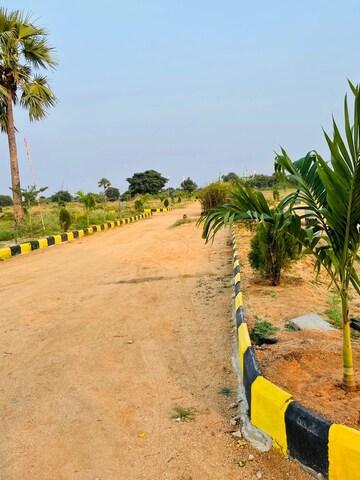 Plot Area in  Plot at Siri Vihari New City, Amangal – for Sale
