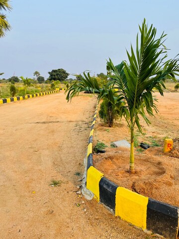 Plot Area in  Plot at Siri Vihari New City, Amangal – for Sale