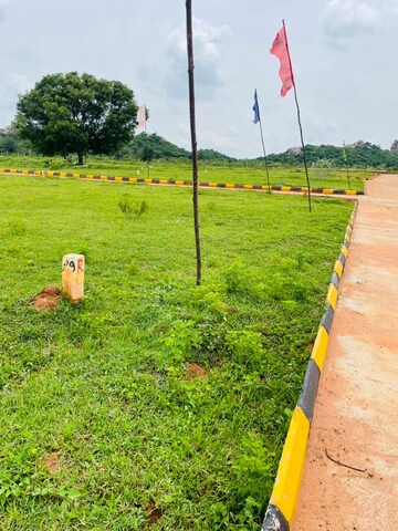  Plot – Exterior View View at Siri Vihari New City, Amangal - for Sale