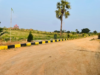 Plot For Resale in Siri Vihari New City Amangal Hyderabad  7870670