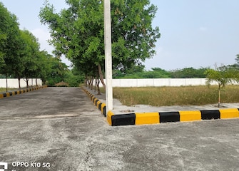 Plot For Resale in Kondamadugu Hyderabad  7870754