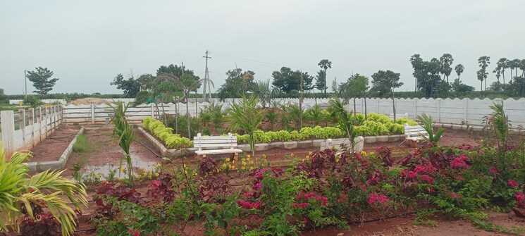 Exterior View, sri-bhumi-eeshaanya  350 Sq.Yd. Plot In Kankipadu Vijayawada 7870855