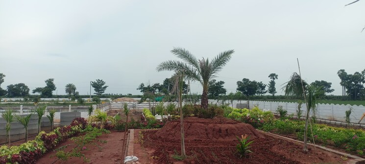 undefined, sri-bhumi-eeshaanya  350 Sq.Yd. Plot In Kankipadu Vijayawada 7870855