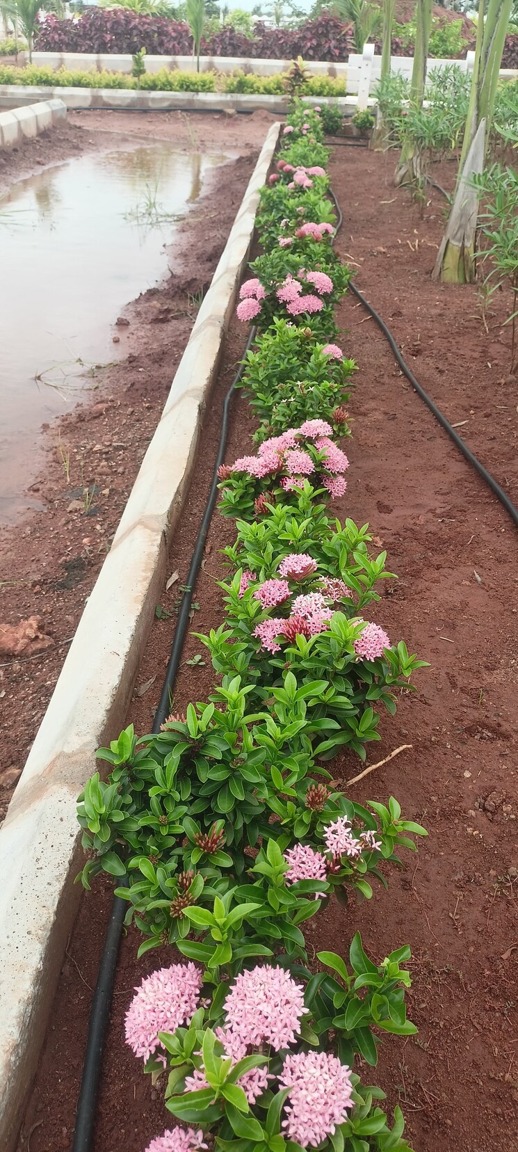 Exterior View, sri-bhumi-eeshaanya  350 Sq.Yd. Plot In Kankipadu Vijayawada 7870855