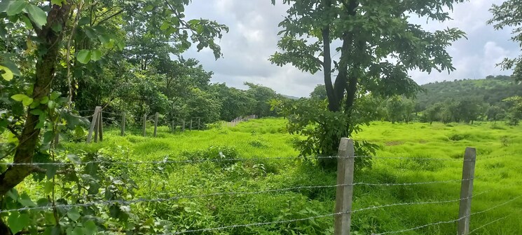 Garden, mangaon  20000 Sq.Ft. Plot In Mangaon Raigad 7870871