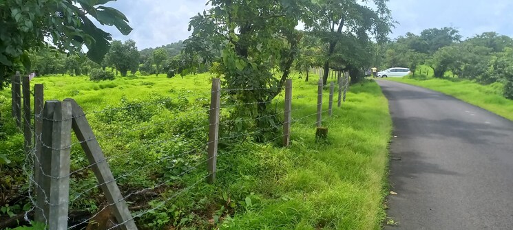 Garden, mangaon  20000 Sq.Ft. Plot In Mangaon Raigad 7870871