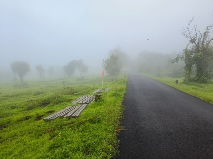 undefined, mangaon  20000 Sq.Ft. Plot In Mangaon Raigad 7870871