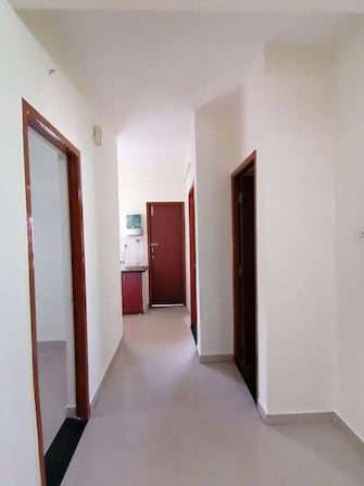 2 BHK Apartment For Rent in Olympia Opaline Navallur Chennai  7868590