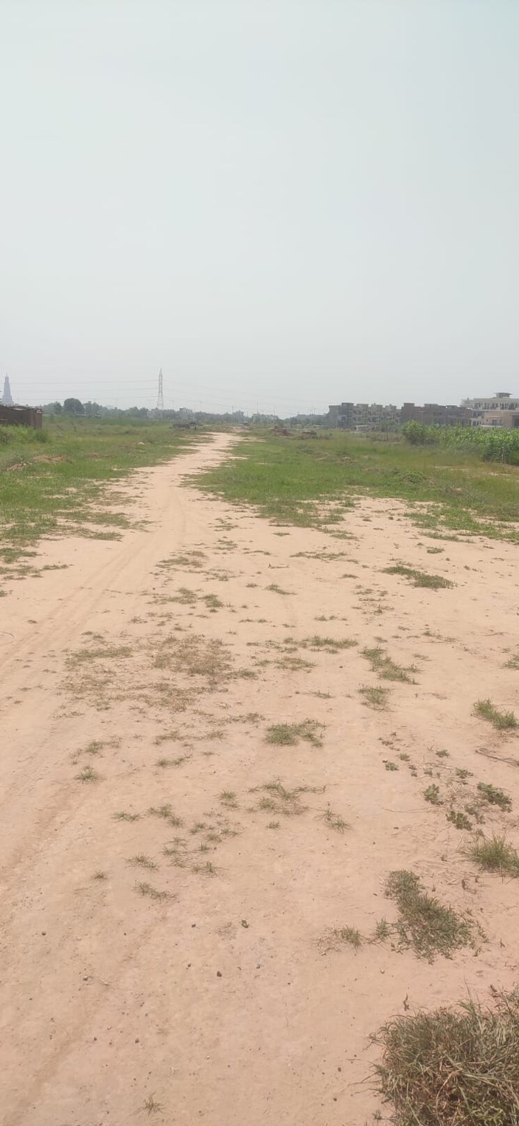 undefined, sector 127  120 Sq.Yd. Plot In Sector 127 Mohali 7871060