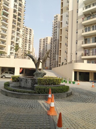 3 BHK Apartment For Resale in Exotica Dreamville Noida Ext Sector 16c Greater Noida  7871309