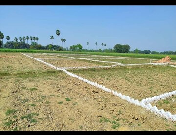 Plot Area in  Plot at Bihta – for Sale