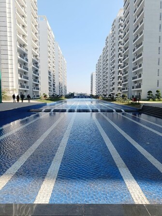 3 BHK Apartment For Rent in Central Park The Orchard Sohna Sector 33 Gurgaon  7871741