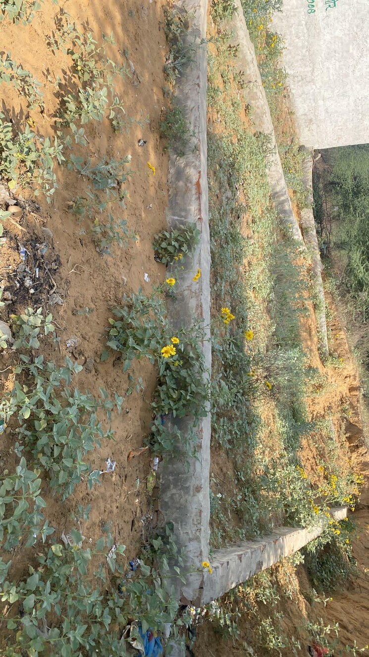 Garden, vatika-kunj  75 Sq.Yd. Plot In Bhondsi Gurgaon 7871897