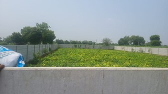 Plot For Resale in Sector 105 Faridabad  7870759