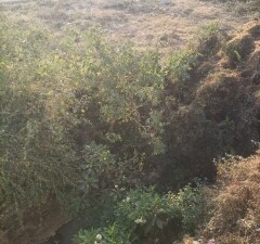 Plot For Sale in Dehradun Cantt