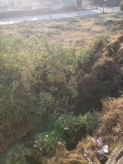 Plot For Sale in Rajeshwar Nagar p4