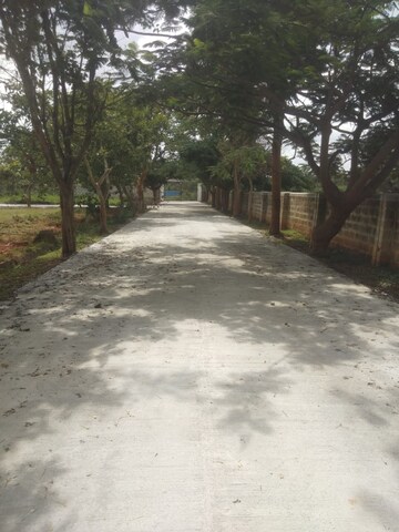  Plot – Exterior View View at Devanahalli - for Sale