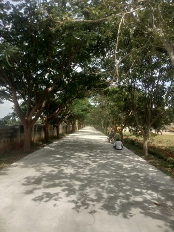  Plot For Sale in Devanahalli