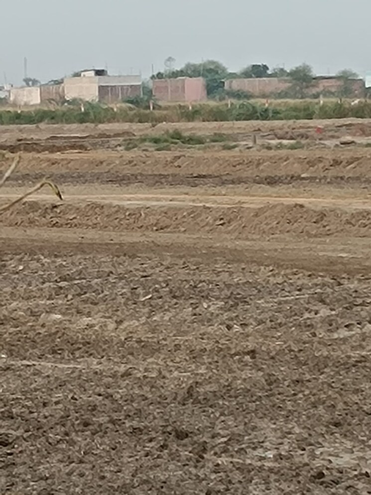 undefined, sohna road  145 Sq.Yd. Plot In Sohna Road Gurgaon 7872909