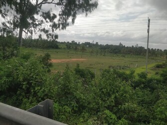 Plot For Resale in Jalahalli East Bangalore  7872946