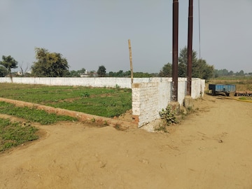 Plot For Resale in Khodna Kalan Greater Noida  7819812