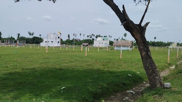 Plot For Resale in Potheri Chennai  7873333