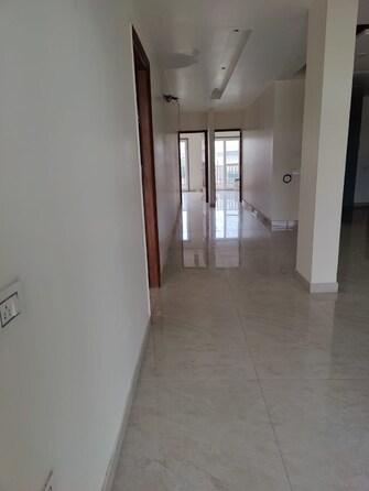 3.5 BHK Builder Floor For Rent in Omaxe Ambrosia North Mullanpur Chandigarh  7874195