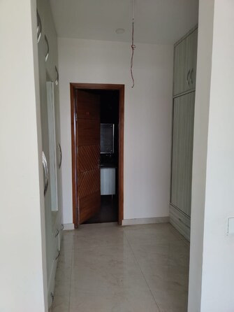 3.5 BHK Builder Floor For Rent in Omaxe Ambrosia North Mullanpur Chandigarh  7874195