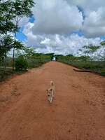 605 Sq.Ft. Plot in Suvidha Farm Site Yellako