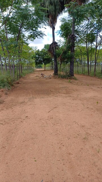Plot Area in  Plot at Shankarpalli – for Sale