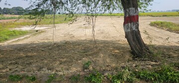 Plot Area in  Plot at Rajatalab – for Sale