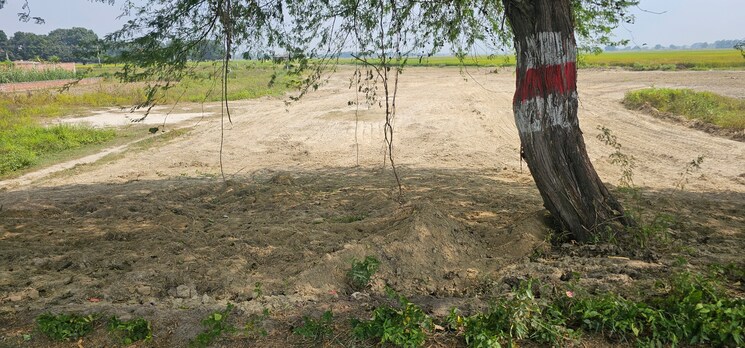 undefined, rajatalab  1000 Sq.Yd. Plot In Rajatalab Varanasi 7874518