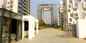 3 BHK Apartment For Rent in Ireo The Grand Arch Sector 58 Gurgaon  7874519