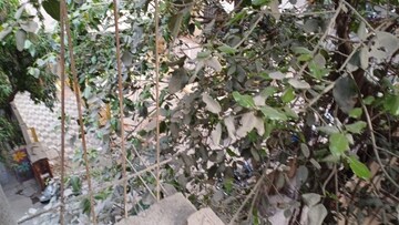 1 BHK Apartment – Exterior View View at Ghantali - for Sale