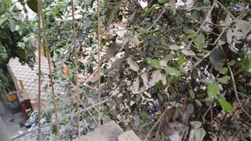 2 BHK Apartment – Exterior View View at Ghantali - for Sale