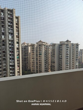 2 BHK Apartment For Rent in Nirala Eden Park 1 Ahinsa Khand ii Ghaziabad  7874836