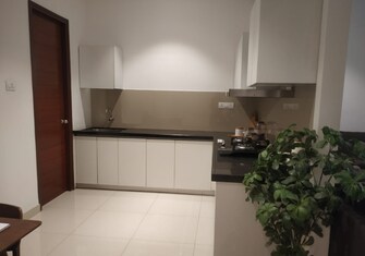 3.5 BHK Apartment For Resale in Goel Ganga Utopia Bavdhan Pune  7874854